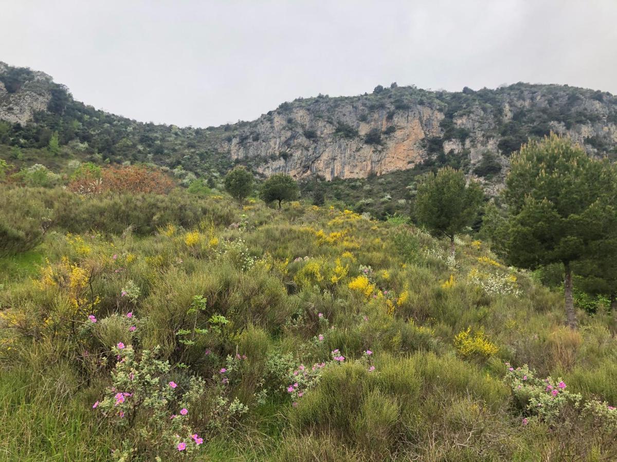 "Aux Balcons Du Riou" Avec Vue Mer 180 Degres Vence Exterior photo