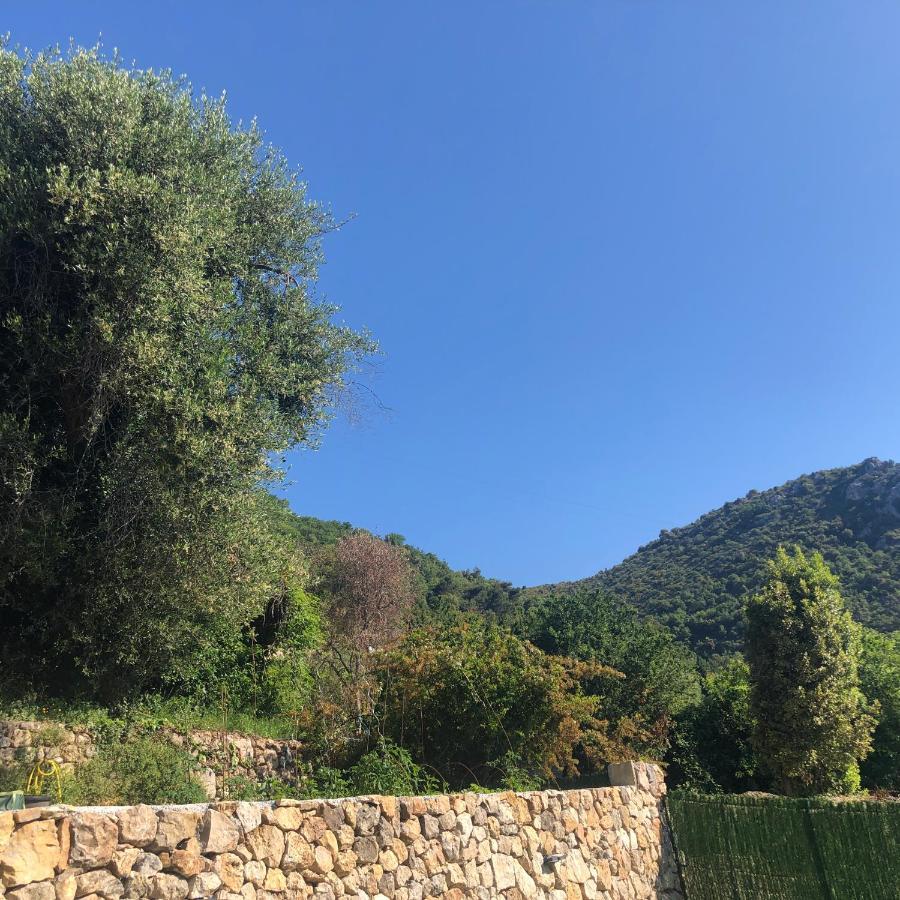 "Aux Balcons Du Riou" Avec Vue Mer 180 Degres Vence Exterior photo